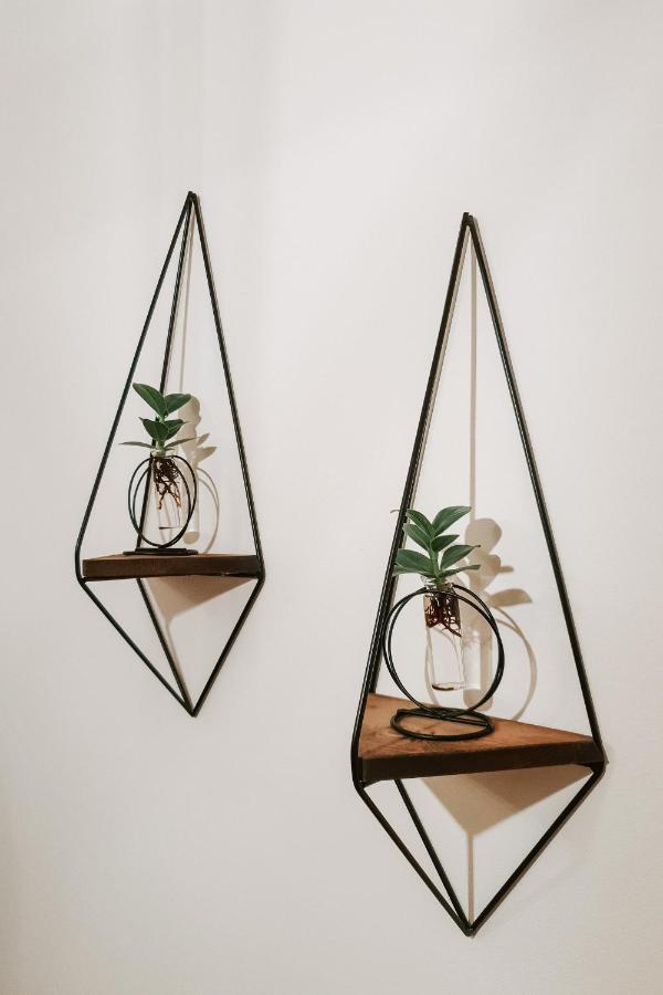 Garden Hideout - Central Apartment บราชอฟ ภายนอก รูปภาพ