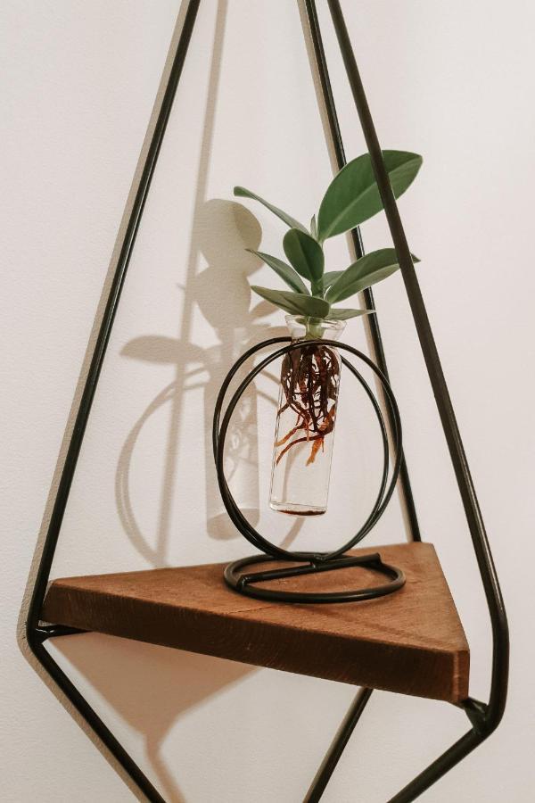 Garden Hideout - Central Apartment บราชอฟ ภายนอก รูปภาพ