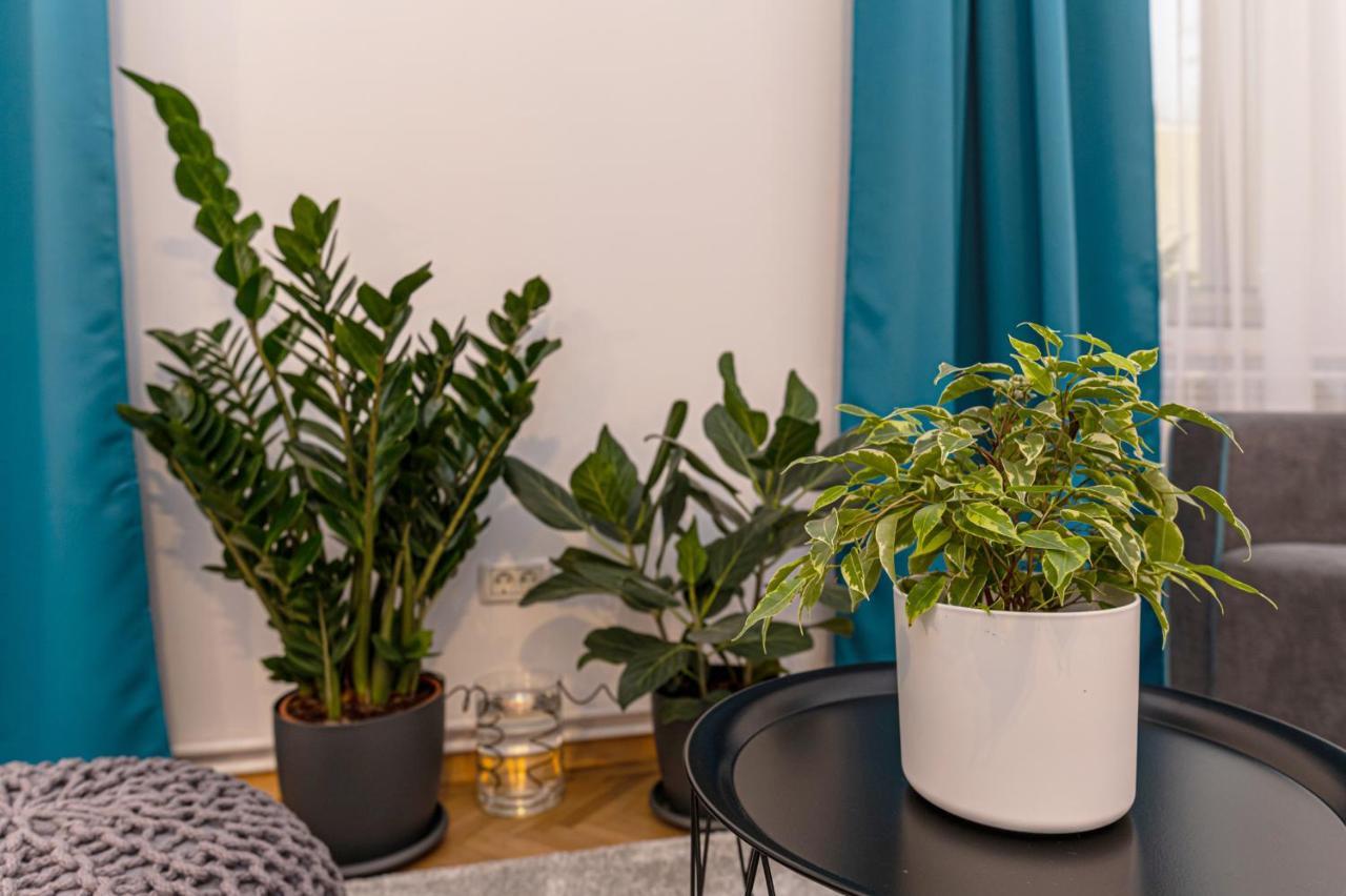 Garden Hideout - Central Apartment บราชอฟ ภายนอก รูปภาพ